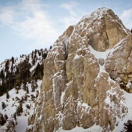 Chamonix 100 Daire Mammoth Lakes Dış mekan fotoğraf